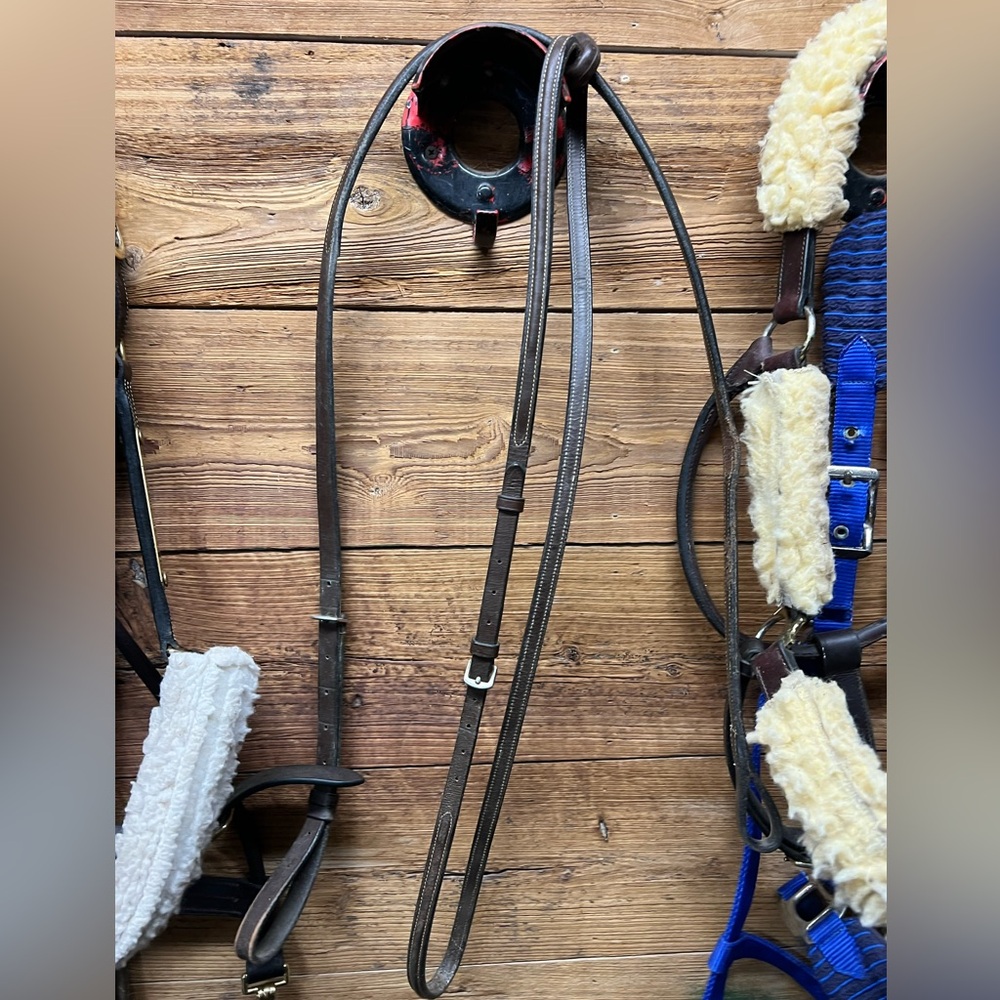 Standing martingale horse leather
